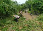 Antisipasi Bencana Alam Bhabinkamtibmas Desa Kerumut Bantu Warga Potong Ranting Pohon   