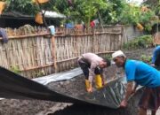 Bhabinkamtibmas Desa Sukaraja Dukung Ketahanan Pangan dengan Pemupukan dan Pemasangan Mulsa