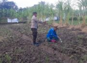 Dukung Program Ketahanan Pangan, Bhabinkamtibmas Desa Anjani Suport Warga dalam Penanaman Jagung