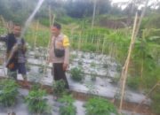 Bhabinkamtibmas Desa Pengadangan Barat Silaturahmi dengan Petani untuk Mendukung Swasembada Pangan