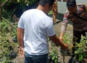 Pengecekan Program Ketahanan Pangan Bergizi (P2B) di Dusun Lembak dilakukan Bhabinkamtibmas Desa Wanasaba