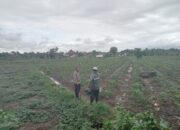 Bhabinkamtibmas Desa Lepak Ajak Warga Berperan Aktif Sukseskan Program Ketahanan Pangan