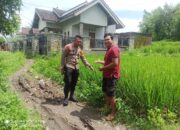 Bhabinkamtibmas Desa Rumbuk Timur Laksanakan Pengecekan Lahan P2B untuk Tingkatkan Produksi Padi dan Kedelai