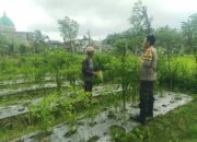 Guna Mendukung Program Ketahanan Pangan, Bhabinkamtibmas Desa Rarang Tengah  Lakukan Silaturahmi Ke Warga Binaan