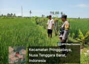 Bhabinkamtibmas Desa Batuyang Laksanakan Pengecekan Lahan Ketahanan Pangan Bergizi 