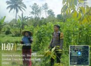 Bhabinkamtibmas Desa Jeruk Manis Lakukan Pengecekan Lahan Ketahanan Pangan
