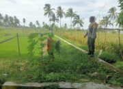 Bhabinkamtibmas Desa Pringgasela Selatan Monitoring Program Ketahanan Pangan Bergizi