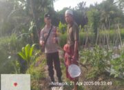 Bhabinkamtibmas Kelurahan Tanjung Lakukan Sambang Desa Dan Cek Lahan Ketahanan Pangan Bergizi