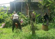 Bhabinkamtibmas Dan Kanit Binmas Polsek Masbagik Cek Lahan Pekarangan Lestari Di Masbagik Selatan