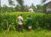 Bhabinkamtibmas Desa Lendang Nangka Lakukan Sambang Dan Pengecekan Program Ketahanan Pangan Bergizi