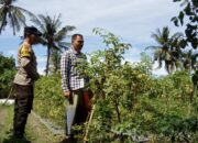 Bhabinkamtibmas Desa Kertasari Lakukan Pengecekan Lahan Ketahanan Pangan Bergizi