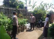 Kapolsek sakra akp Bersama Anggota Tinjau Lahan Ketahanan Pangan