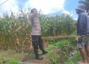 Bhabinkamtibmas Desa Teros Lakukan Pengecekan Lahan Ketahanan Pangan Bergizi