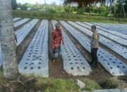 Bhabinkamtibmas Masbagik Utara Sambangi Petani, Dukung Ketahanan Pangan dan Kamtibmas