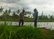 Bhabinkamtibmas Desa Lendang Nangka Laksanakan Sambang Dan Cek Ketahanan Pangan Bergizi