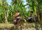 Aipda Samsul Hakim Lakukan Pengecekan Program Ketahanan Pangan Bergizi di Desa Kerumut