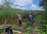 Bhabinkamtibmas Desa Teros Lakukan Pengecekan Lahan Ketahanan Pangan Bergizi