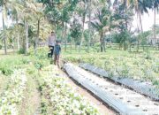  Bhabinkamtibmas Desa Perian, Cek Program Ketahanan pangan