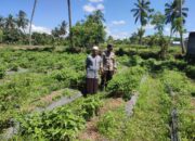 Bhabinkamtibmas Desa Paokmotong Lakukan Monitoring Tanaman Pekarangan Bergizi