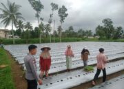Bhabinkamtibmas Laksanakan Monitoring Program Ketahanan Pangan Bergizi di Montong Gading