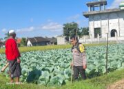 Bhabinkamtibmas Desa Danger Lakukan Silaturahmi Dan Kontrol Ketahanan Pangan