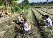 Dukung Program Ketahanan Pangan Bhabinkamtibmas Desa Bagik Papan Silaturahmi Ke Warga Binaan 