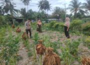 Aiptu Saiful Rahman Lakukan Pembersihan Lahan Ketahanan Pangan