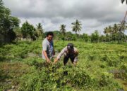 Bhabinkamtibmas Paokmotong Monitoring Tanaman Pekarangan Bergizi Dukung Program Pemerintah
