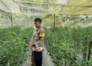 Bhabinkamtibmas Desa Kumbang Laksanakan Silaturahmi dan Monitoring Ketahanan Pangan