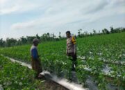 Bhabinkamtibmas Desa Sakra Selatan Lakukan Silaturahmi dan Cek Ketahanan Pangan