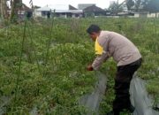 Bhabinkamtibmas Desa Kumbang Laksanakan Silaturahmi dan Monitoring Ketahanan Pangan