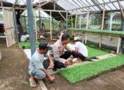 Bhabinkamtibmas Desa Bagik Papan Silaturahmi dan Cek Lokasi Pembibitan Pertanian Guna Mendukung Program Ketahanan Pangan