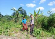 Bhabinkamtibmas Desa Masbagik Utara Baru lakukan Silaturahmi dan Monitoring Ketahanan Pangan