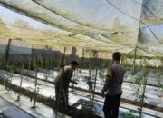 Bhabinkamtibmas Desa Kumbang Sambang Warga dan Pantau Ketahanan Pangan