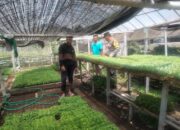 Bhabinkamtibmas Desa Anggaraksa Cek Lokasi Pembibitan Dukung Program Ketahanan Pangan