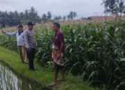 Dukung Program Pemerintah, Bhabinkamtibmas Masbagik Timur Cek Lahan Ketahanan Pangan Bergizi