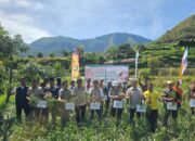 Panen Raya Bawang Putih di Sembalun Melampaui Target, Menuju Swasembada Nasional