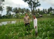 Bhabinkamtibmas Masbagik Selatan Cek Lahan Ketahanan Pangan Bergizi Di Dusun Gubuk Motong Timur