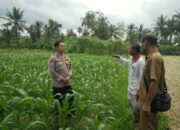 Bhabinkamtibmas Desa Masbagik Selatan Cek Lahan Ketahanan Pangan