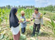 Bhabinkamtibmas Desa Bagik Papan Lakukan Pengecekan Lahan Ketahanan Pangan dan Silaturahmi dengan Warga