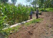 Bhabinkamtibmas Desa Lando Sosialisasikan Penjualan Hasil Panen Jagung Ke Bulog