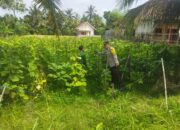 Bhabinkamtibmas Desa Lendang Nangka Tinjau Lahan Ketahanan Pangan Bergizi Bersama Kelompok Tani