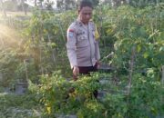 Bhabinkamtibmas Desa Kesik Tinjau Lahan Ketahanan Pangan Warga
