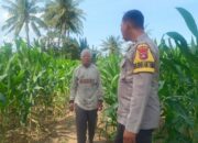 BHABINKAMTIBMAS DESA PRINGGABAYA UTARA DUKUNG KETAHANAN PANGAN DAN CIPTAKAN KAMTIBMAS KONDUSIF