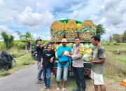 Bripka Agus Salim Lakukan Silaturahmi dan Cek Panen Sayur di Desa Bagik Papan