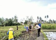 Bhabinkamtibmas desa suradadi aiptu abdurraham, s.pt. Gelar gotong royong pembukaan jalan usaha tani