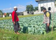 Bhabinkamtibmas Desa Danger Lakukan Giat Silaturahmi Dan Monitoring Ketahanan Pangan